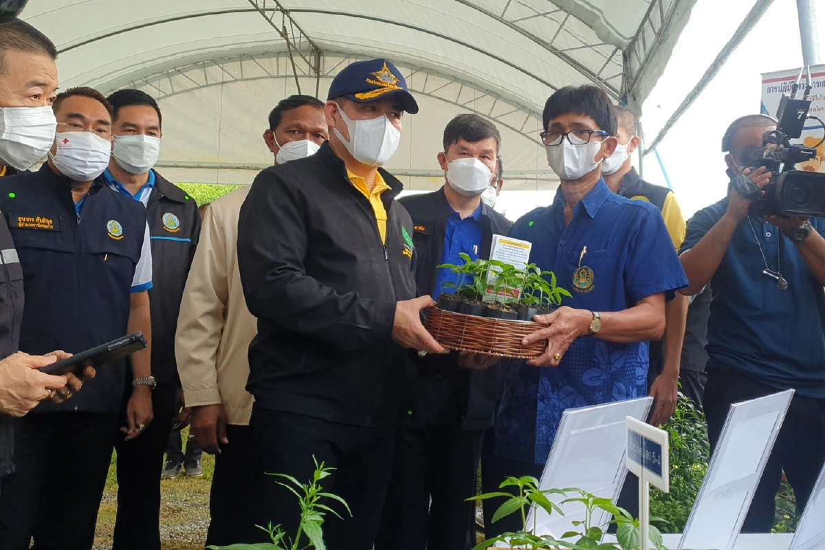 ธรรมนัส'คิกออฟ'ฟ้าทะลายโจรล้านต้นในพื้นที่สปก.