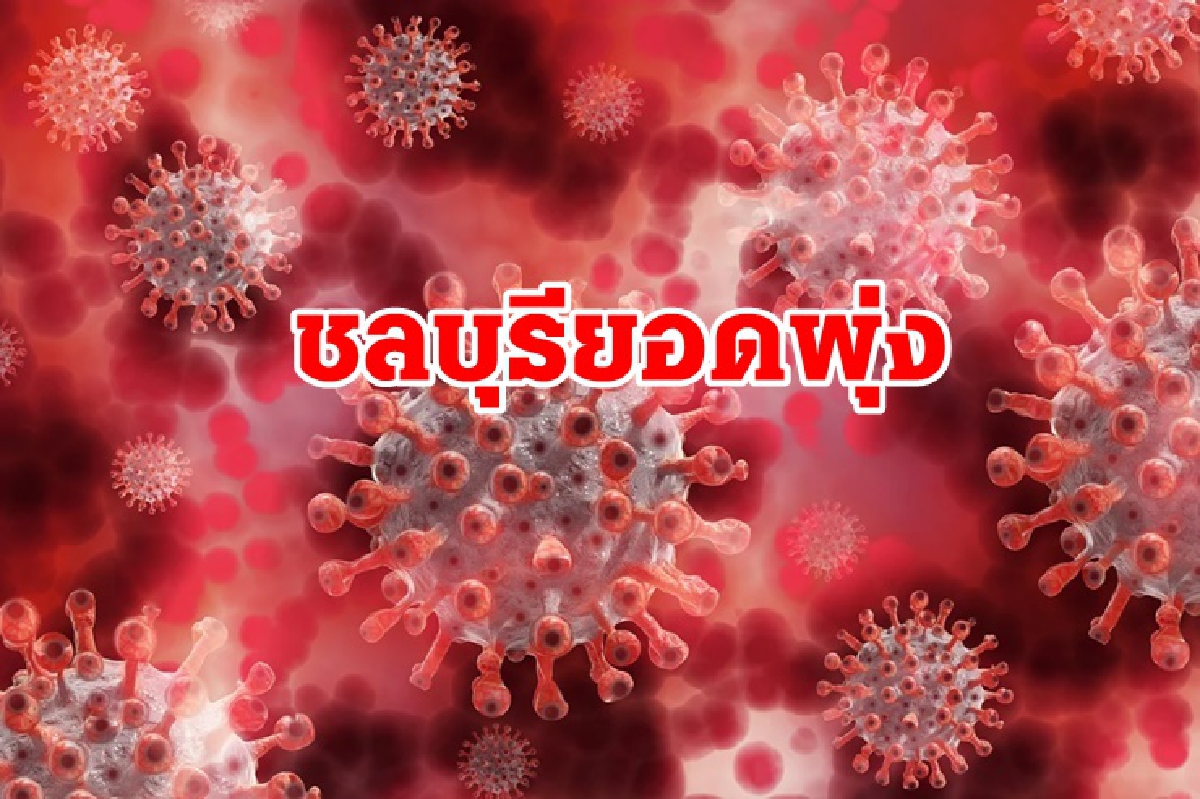 ยอดเด้ง!! ชลบุรีติดโควิดพุ่ง 1,594 ราย โยงคลัสเตอร์ศูนย์ฝึกทหารใหม่ - 7บริษัท ยอดเด้ง!! ชลบุรีติดโควิดพุ่ง 1,594 ราย โยงคลัสเตอร์ศูนย์ฝึกทหารใหม่ - 7บริษัท