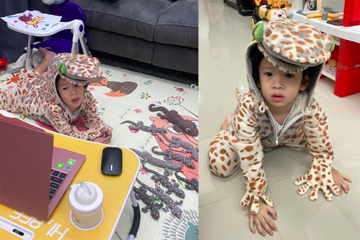 “น้องโพธิ์” ลูกชาย "ชาคริต" ขนเพื่อนๆ 'ตุ๊กแก' มาเรียนออนไลน์ด้วยกัน “น้องโพธิ์” ลูกชาย "ชาคริต" ขนเพื่อนๆ 'ตุ๊กแก' มาเรียนออนไลน์ด้วยกัน