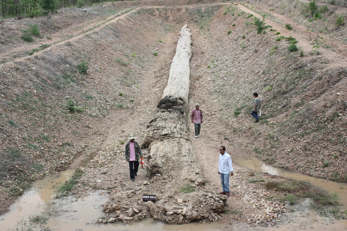 ท่องโลกบรรพกาล ผ่านอุทยานธรณี