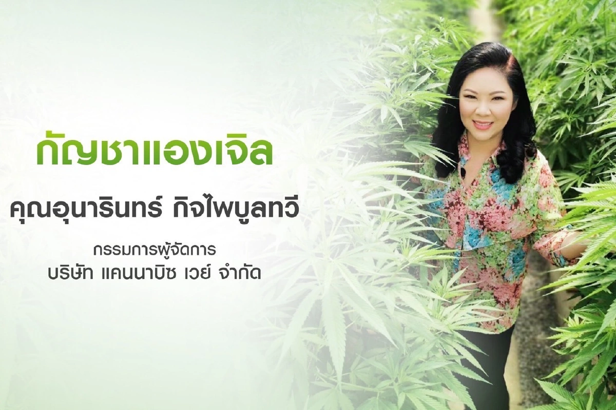 OCEAN ผนึกกำลังพันธมิตร ”JP-นางฟ้ากัญชา”