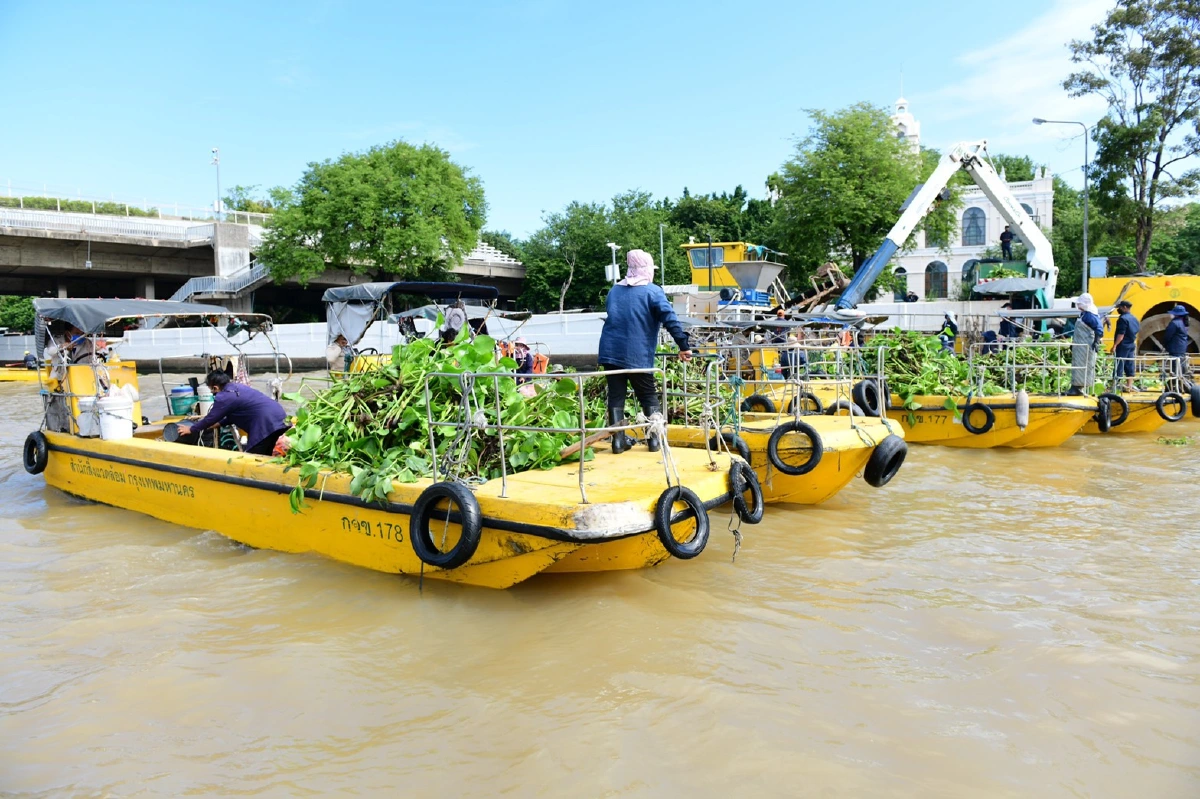 "จิตอาสา"ระดมกำลังเก็บผักตบชวาในแม่น้ำเจ้าพระยาเปิดทางน้ำ