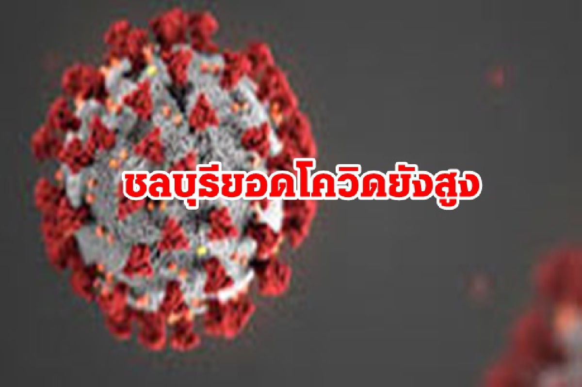 คลัสเตอร์อื้อ!!"โควิดชลบุรี"ตายอีก 12 ศพ ติดเชื้อใหม่ 973 ราย คลัสเตอร์อื้อ!!"โควิดชลบุรี"ตายอีก 12 ศพ ติดเชื้อใหม่ 973 ราย