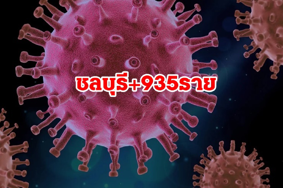 ยอดยังสูง!"ชลบุรี" ติดโควิดใหม่ 935 ราย ดับเพิ่ม 12 ศพ ยอดยังสูง!"ชลบุรี" ติดโควิดใหม่ 935 ราย ดับเพิ่ม 12 ศพ