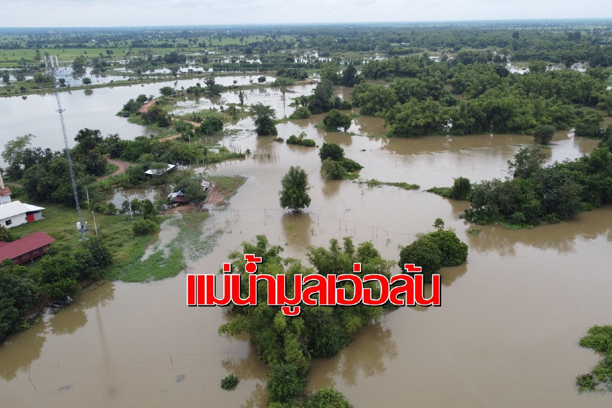 แม่น้ำมูลล้นเตือนหลายพื้นที่โคราชเตรียมรับผลกระทบหนัก แม่น้ำมูลล้นเตือนหลายพื้นที่โคราชเตรียมรับผลกระทบหนัก