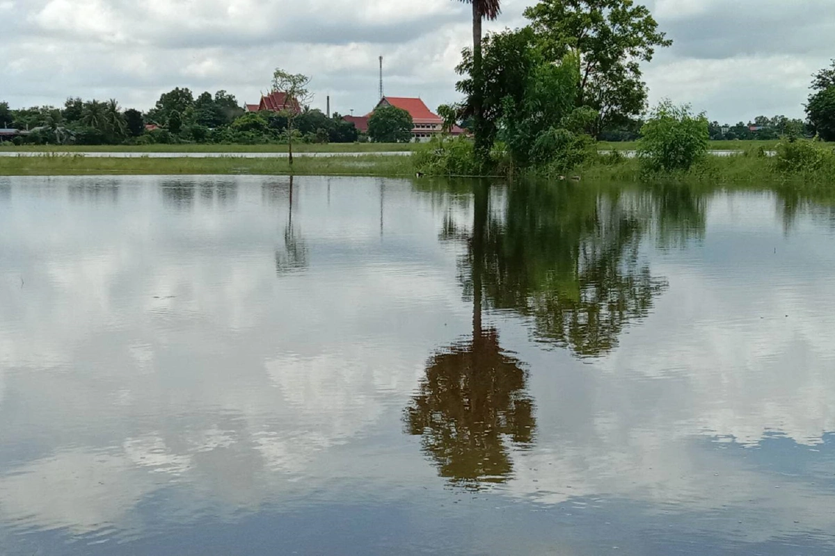 เตือนชาวพิมายรีบขนของ ลำน้ำมูลล้นตลิ่ง