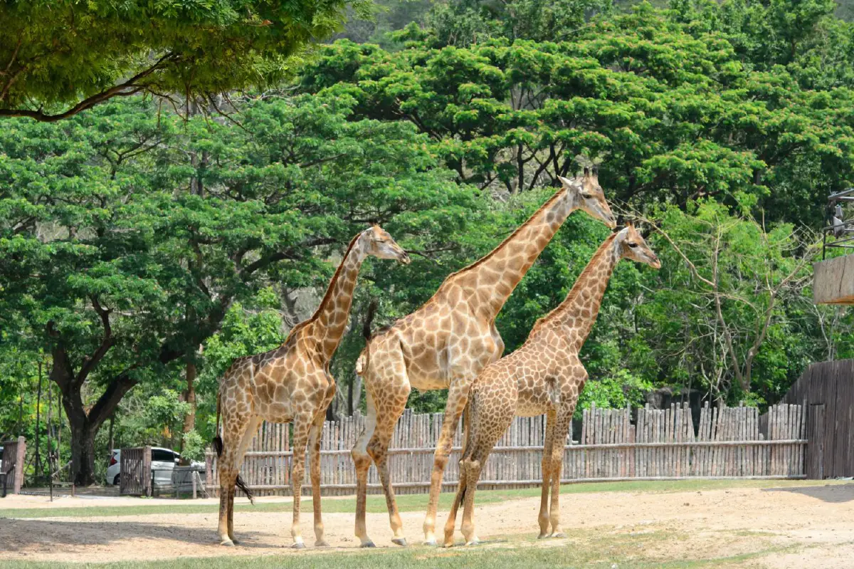 ชวนเที่ยวอันซีนใกล้กรุง @ชลบุรี