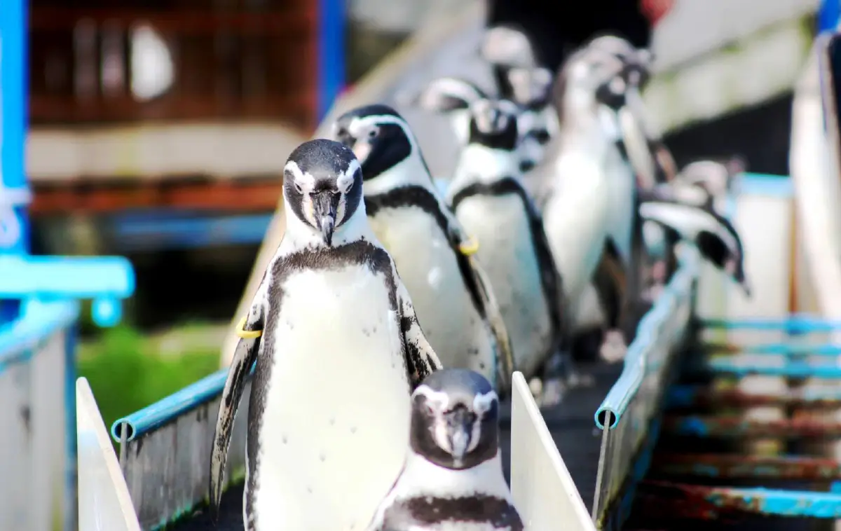 ชวนเที่ยวอันซีนใกล้กรุง @ชลบุรี