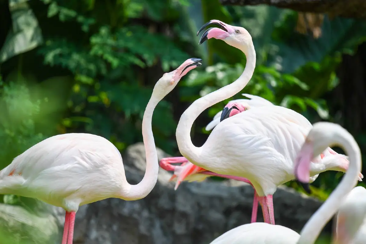 ชวนเที่ยวอันซีนใกล้กรุง @ชลบุรี