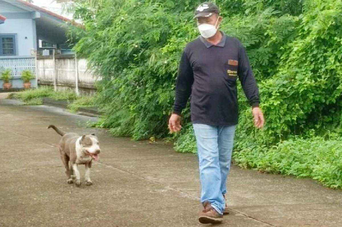 ช่วยน้องหมาพิทบูลตกท่อน้ำคืนเจ้าของ