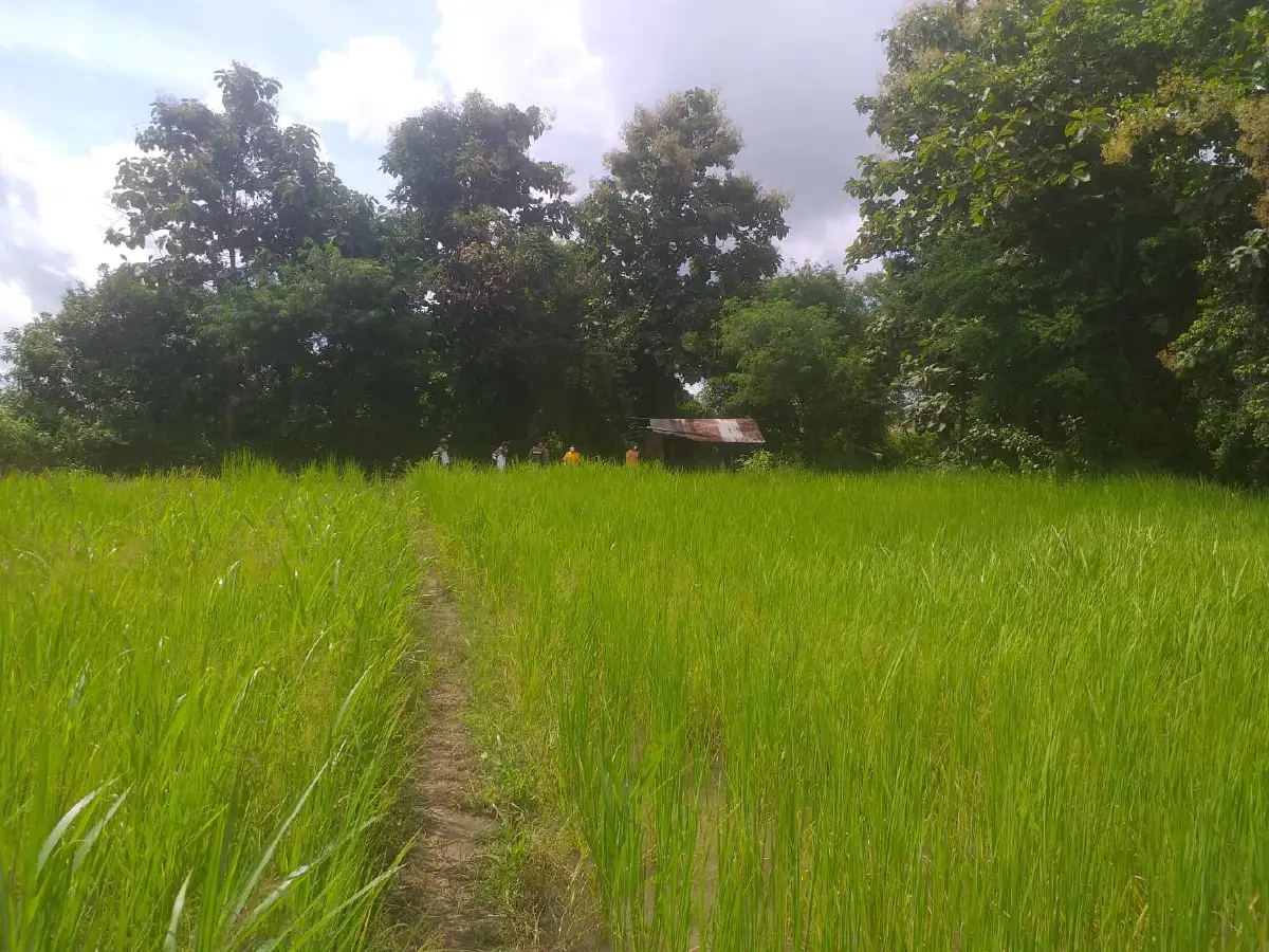 พ่อปลูกกระต็อบกลางทุ่งอยู่กับลูกสาว9ขวบ ไม่ได้เรียนหนังสือ ขอสังคมช่วยเหลือ