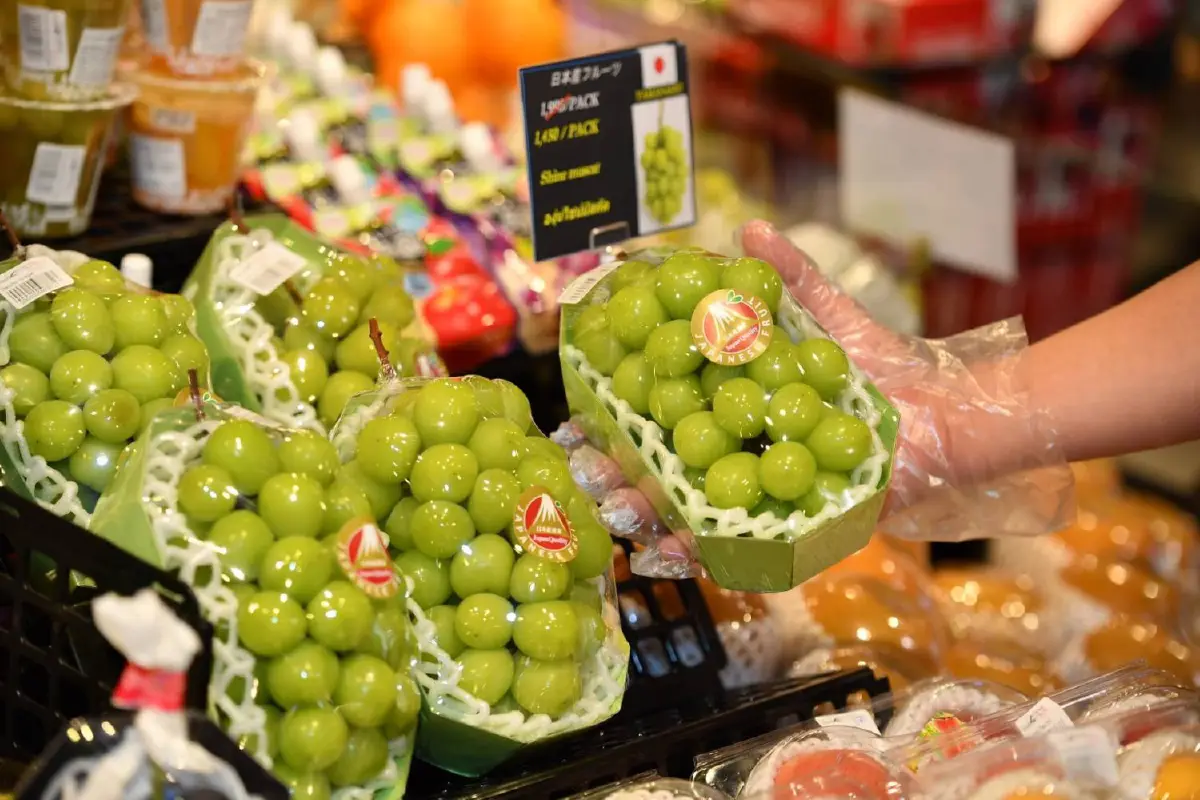 กินเที่ยวยกระดับการพักผ่อนที่บ้าน ด้วยความสำราญระดับเวิลด์คลาส