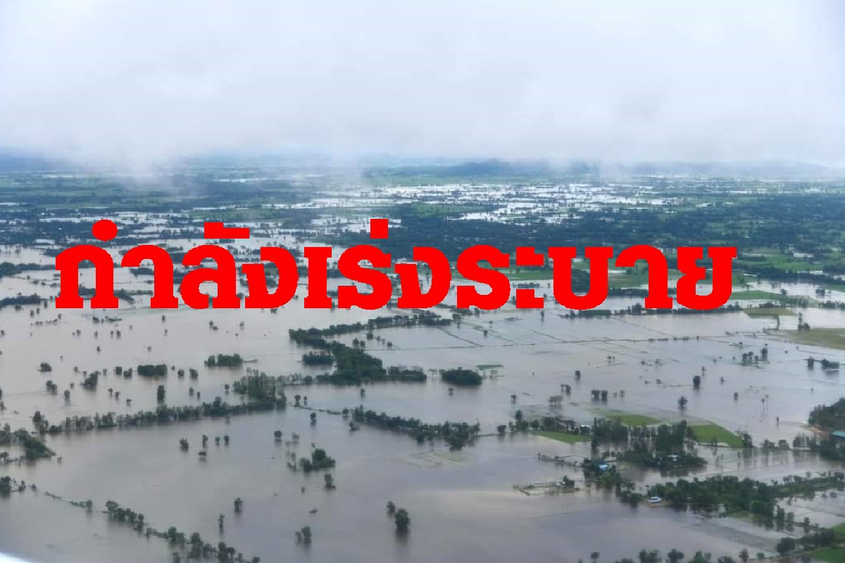 ปภ.รายงานเตี้ยนหมู่ทำให้เกิดอุทกภัย31จังหวัด กำลังเร่งระบายน้ำ ปภ.รายงานเตี้ยนหมู่ทำให้เกิดอุทกภัย31จังหวัด กำลังเร่งระบายน้ำ