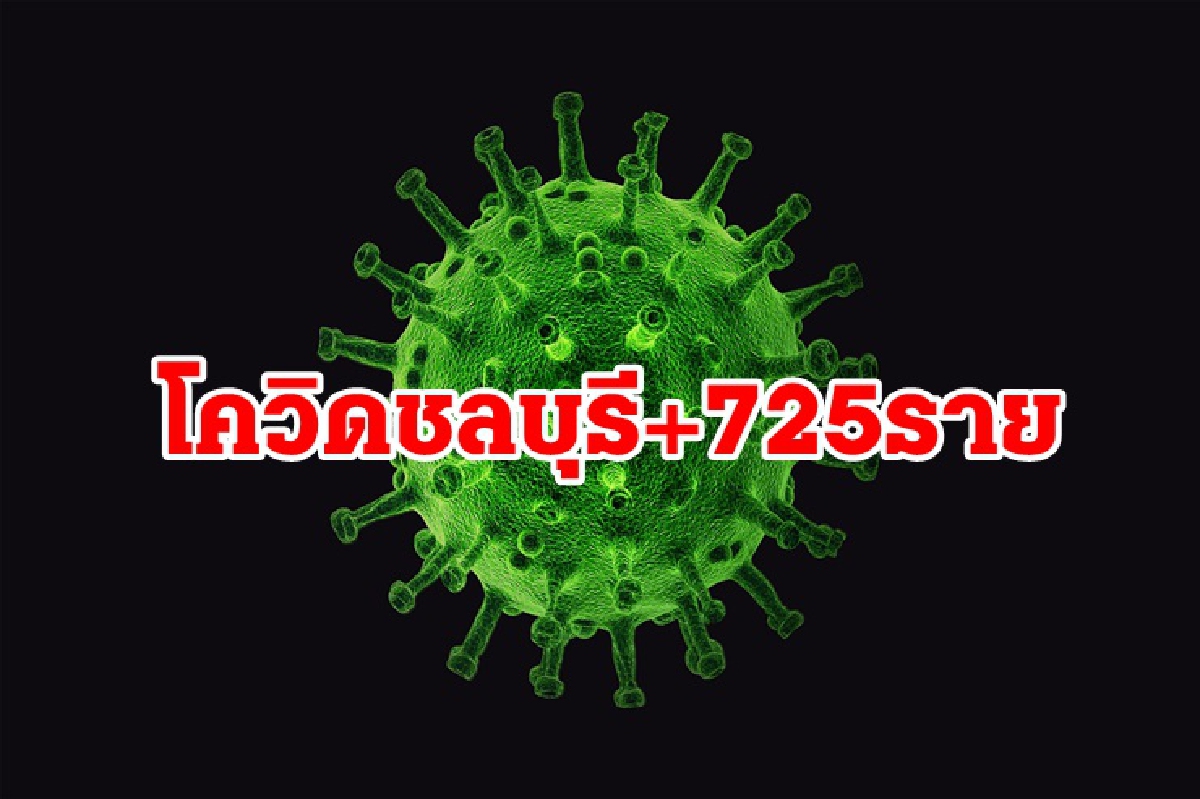 โควิดชลบุรีติดอีก 725 ราย เจอคลัสเตอร์บริษัทใหญ่อื้อ ดับเพิ่ม 4 ราย โควิดชลบุรีติดอีก 725 ราย เจอคลัสเตอร์บริษัทใหญ่อื้อ ดับเพิ่ม 4 ราย