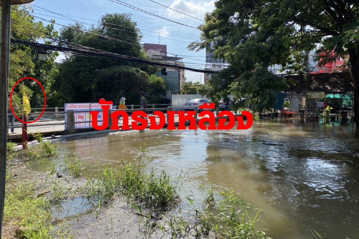ปักธงเหลือง! มวลน้ำลำตะคองไหลเข้าท่วมตัวเมืองโคราช ปักธงเหลือง! มวลน้ำลำตะคองไหลเข้าท่วมตัวเมืองโคราช
