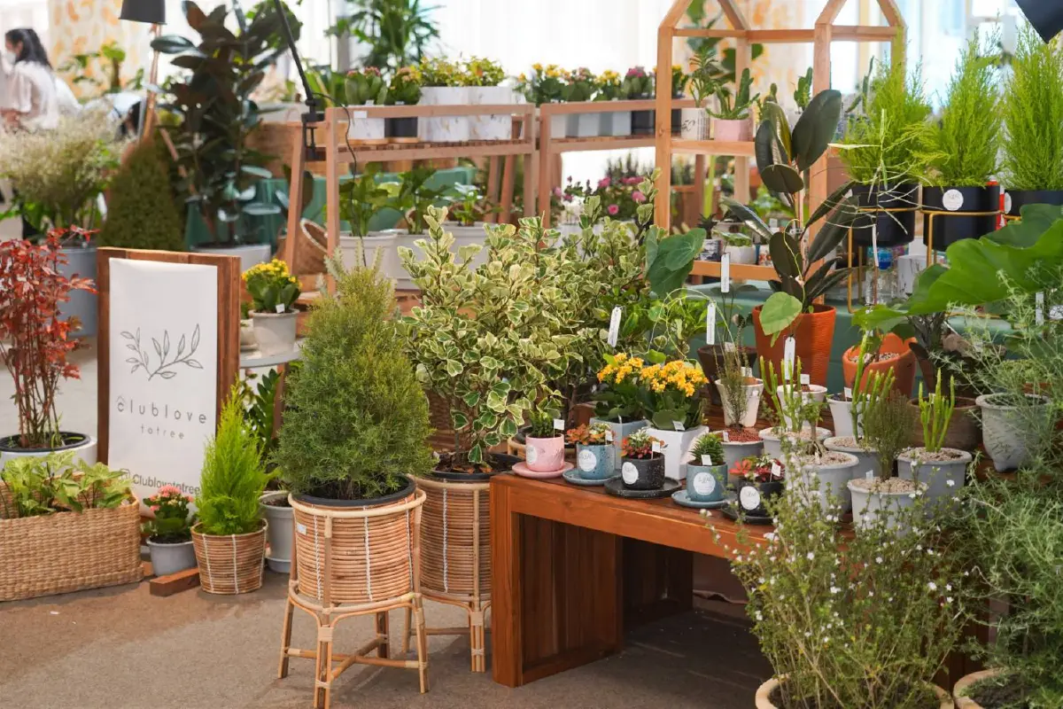 อัพเดทเทรนด์ไม้ด่าง กระแสฮอตช่วยเติมความสวยให้บ้าน