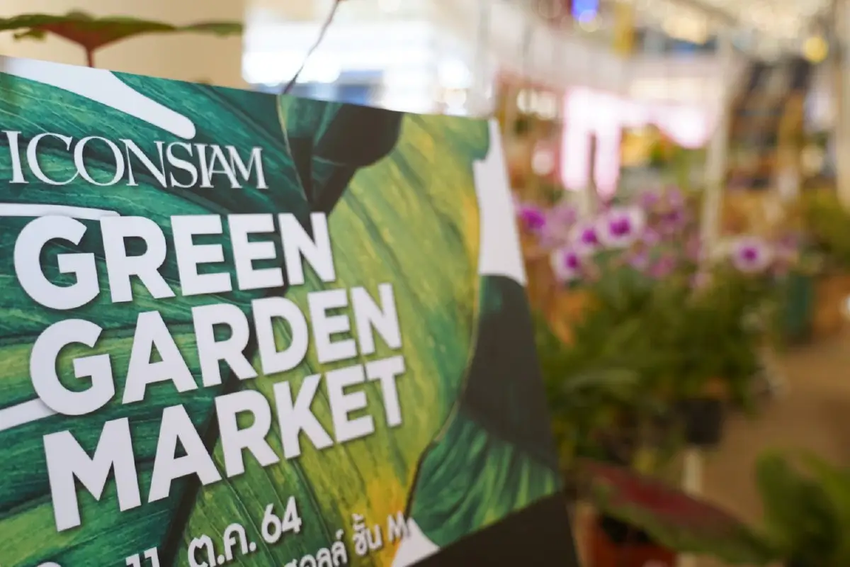 อัพเดทเทรนด์ไม้ด่าง กระแสฮอตช่วยเติมความสวยให้บ้าน