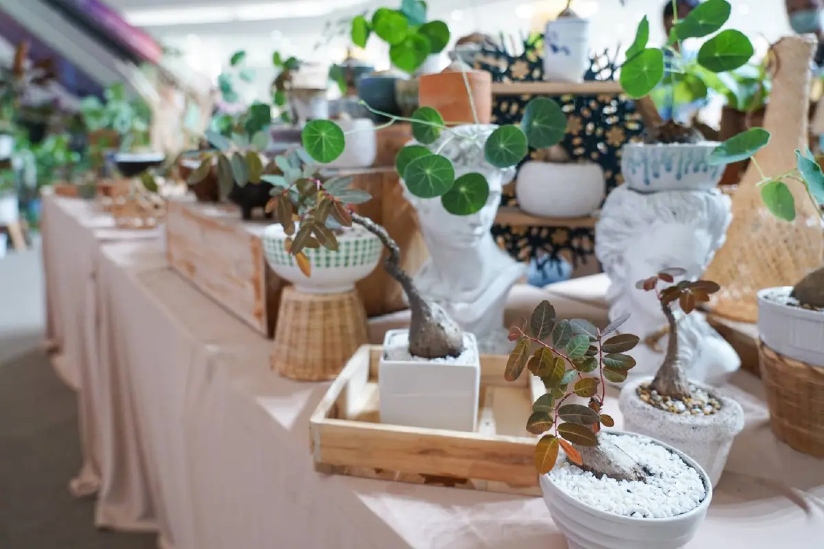 อัพเดทเทรนด์ไม้ด่าง กระแสฮอตช่วยเติมความสวยให้บ้าน