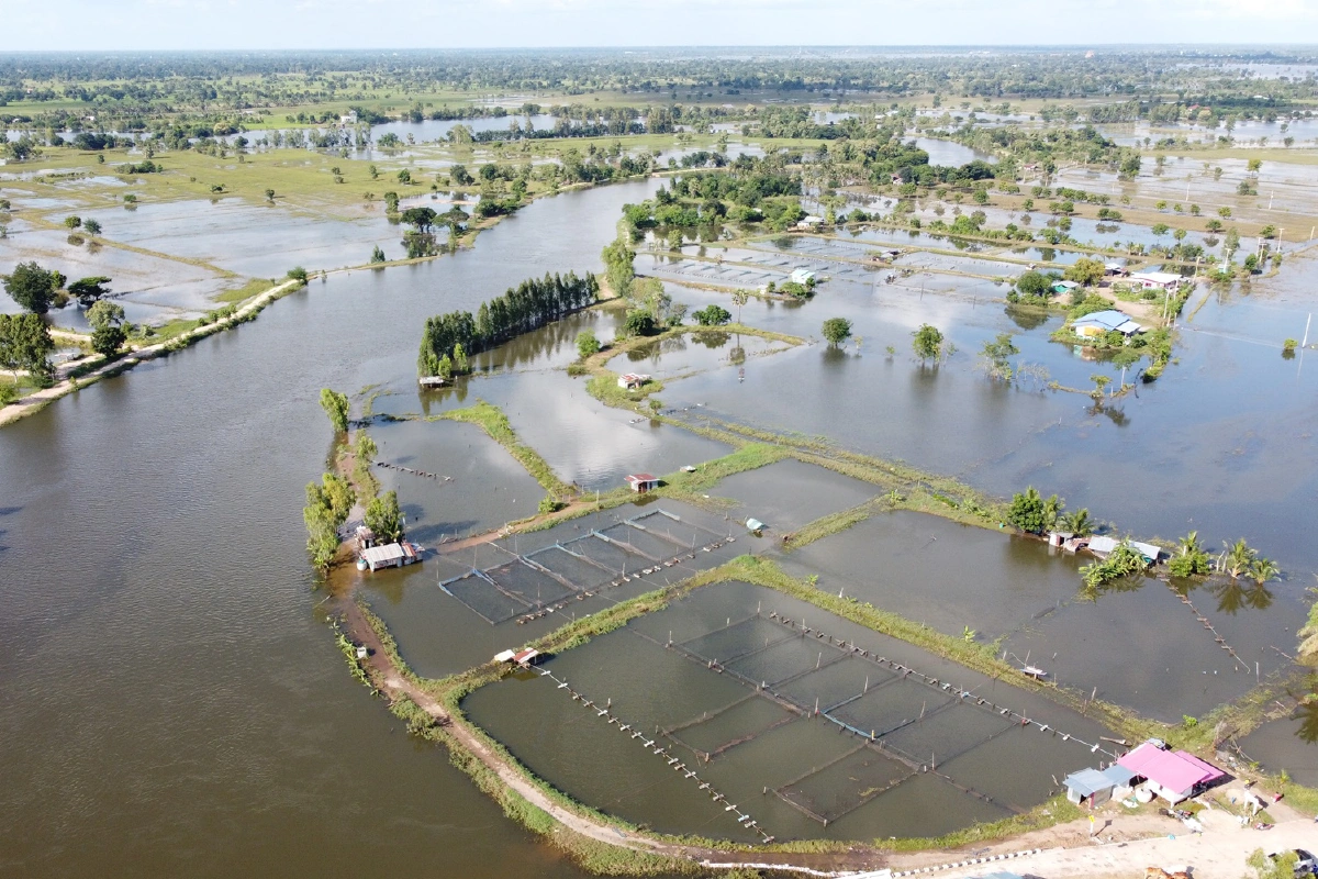 น้ำท่วมโคราช เกษตรกรเลี้ยงปลากระชัง สิ้นเนื้อประดาตัว