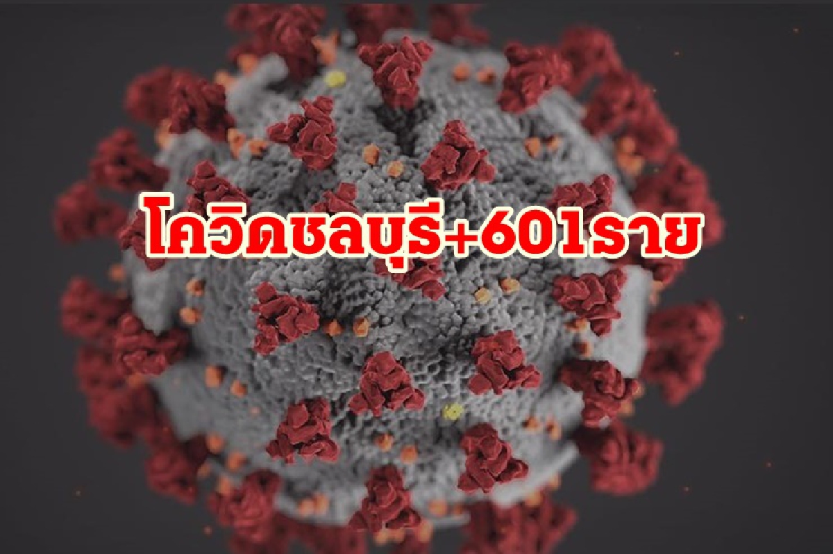 "ชลบุรี"ติดโควิดอีก 601 ราย ตาย 7 ราย "ชลบุรี"ติดโควิดอีก 601 ราย ตาย 7 ราย