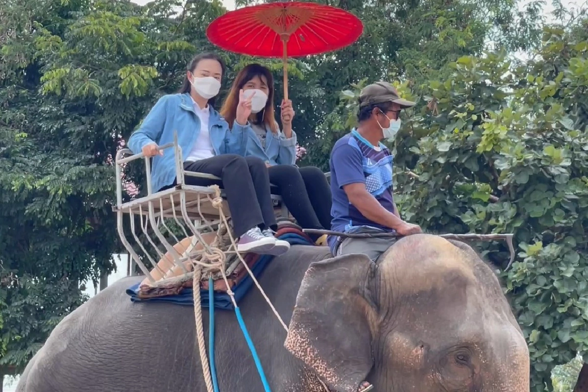 หมู่บ้านช้างสุรินทร์เปิดท่องเที่ยวใช้มาตรการคุมโควิดเข้ม