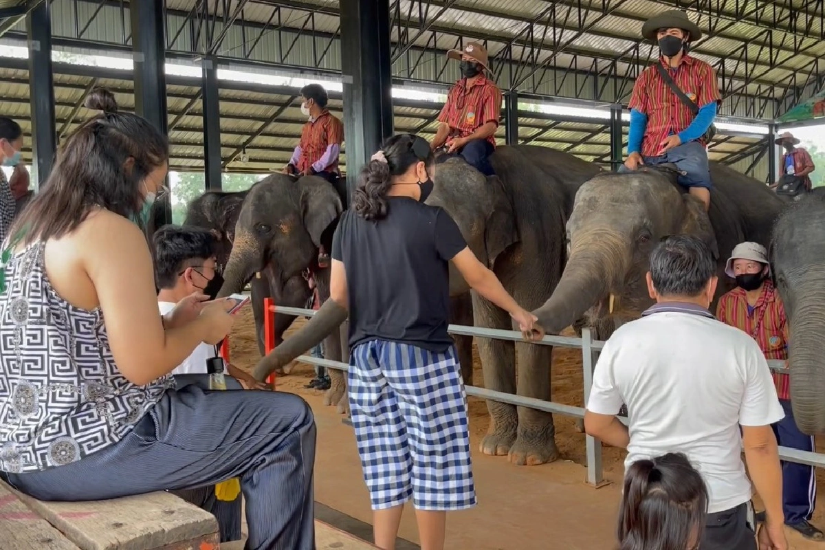 หมู่บ้านช้างสุรินทร์เปิดท่องเที่ยวใช้มาตรการคุมโควิดเข้ม