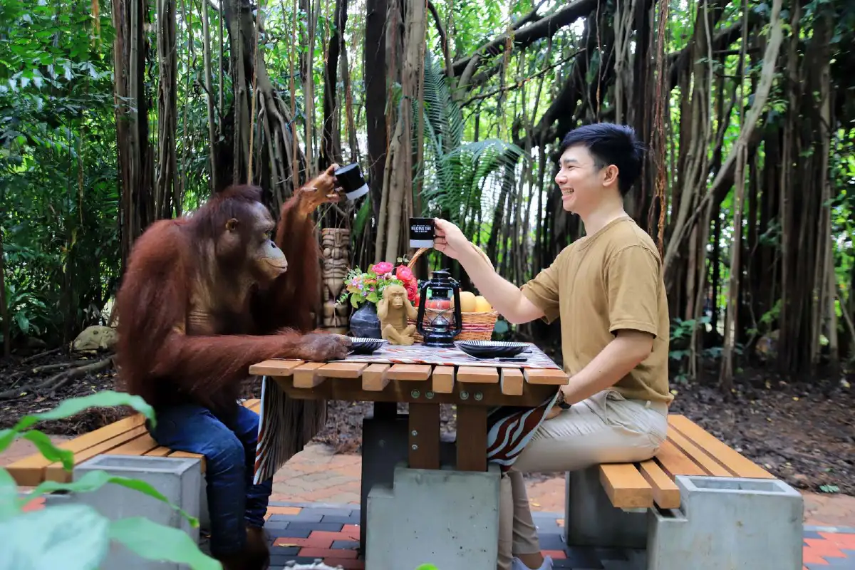 พร้อมผจญภัย!! 'ซาฟารีเวิลด์' เปิดโลกกว้างอีกครั้ง เพิ่มกิจกรรมใหม่ต้อนรับการกลับมาของนักท่องเที่ยว