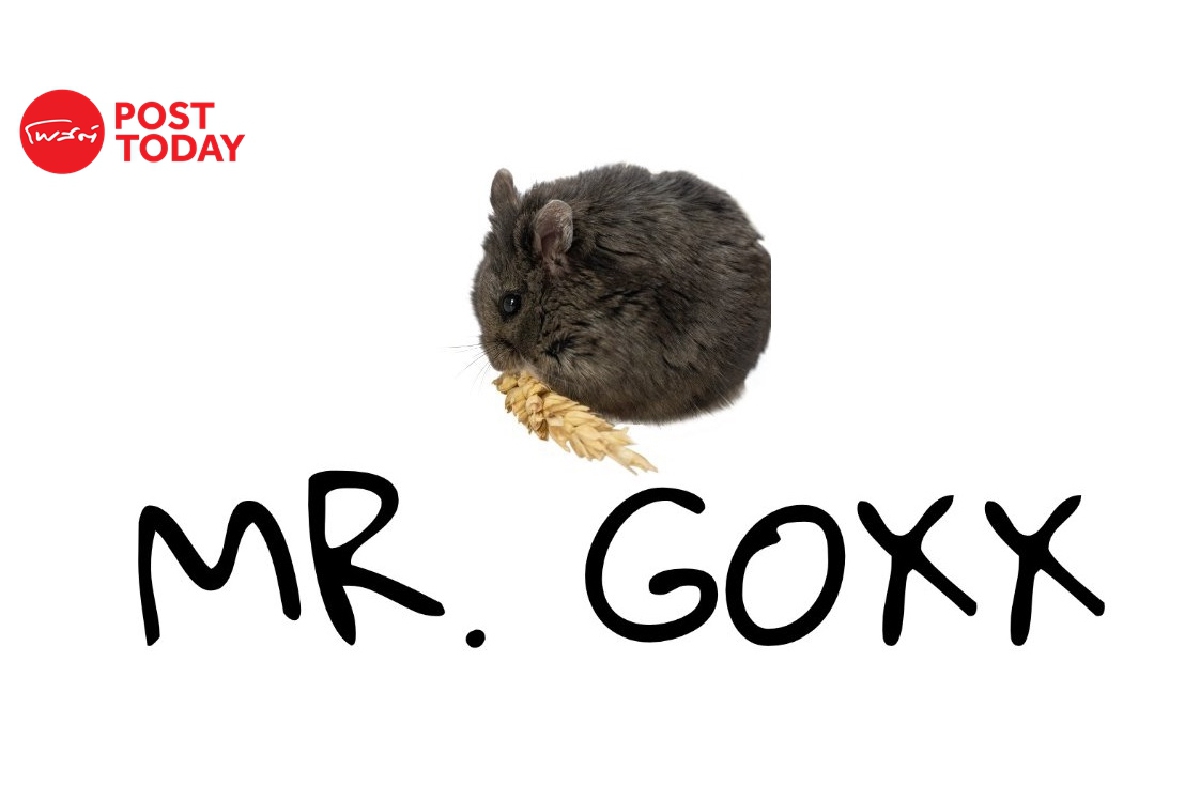 Mr Goxx แฮมสเตอร์นักลงทุนคริปโตที่เหนือกว่าวอร์เรน บัฟเฟต Mr Goxx แฮมสเตอร์นักลงทุนคริปโตที่เหนือกว่าวอร์เรน บัฟเฟต