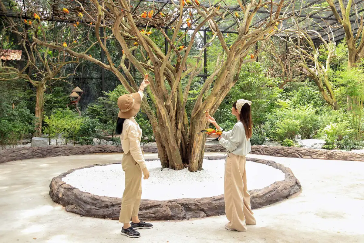 พร้อมผจญภัย!! 'ซาฟารีเวิลด์' เปิดโลกกว้างอีกครั้ง เพิ่มกิจกรรมใหม่ต้อนรับการกลับมาของนักท่องเที่ยว