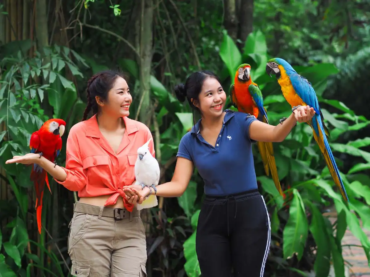 พร้อมผจญภัย!! 'ซาฟารีเวิลด์' เปิดโลกกว้างอีกครั้ง เพิ่มกิจกรรมใหม่ต้อนรับการกลับมาของนักท่องเที่ยว