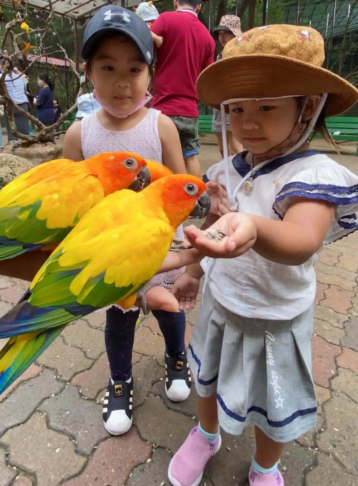 พร้อมผจญภัย!! 'ซาฟารีเวิลด์' เปิดโลกกว้างอีกครั้ง เพิ่มกิจกรรมใหม่ต้อนรับการกลับมาของนักท่องเที่ยว