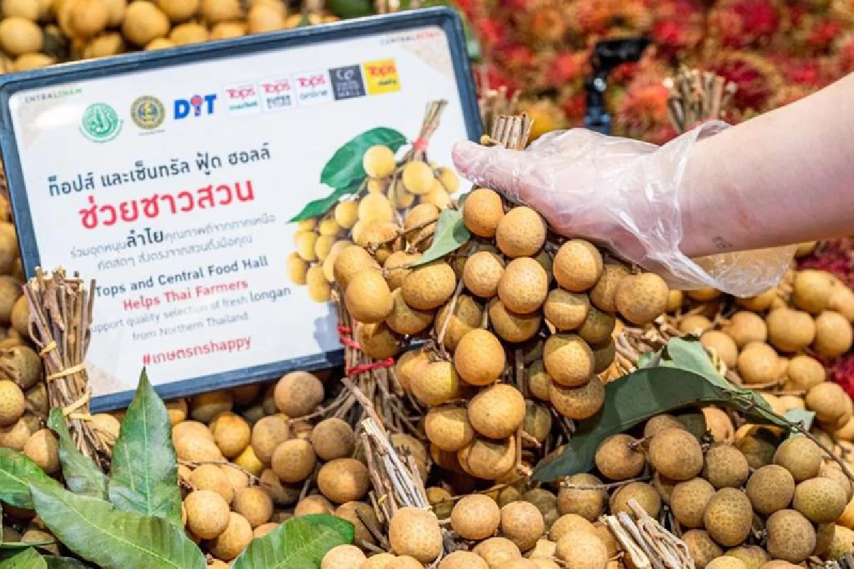 กลุ่มเซ็นทรัล โชว์ 3 กลยุทธ์ร่วมพลิกฟื้นศก.ไทย