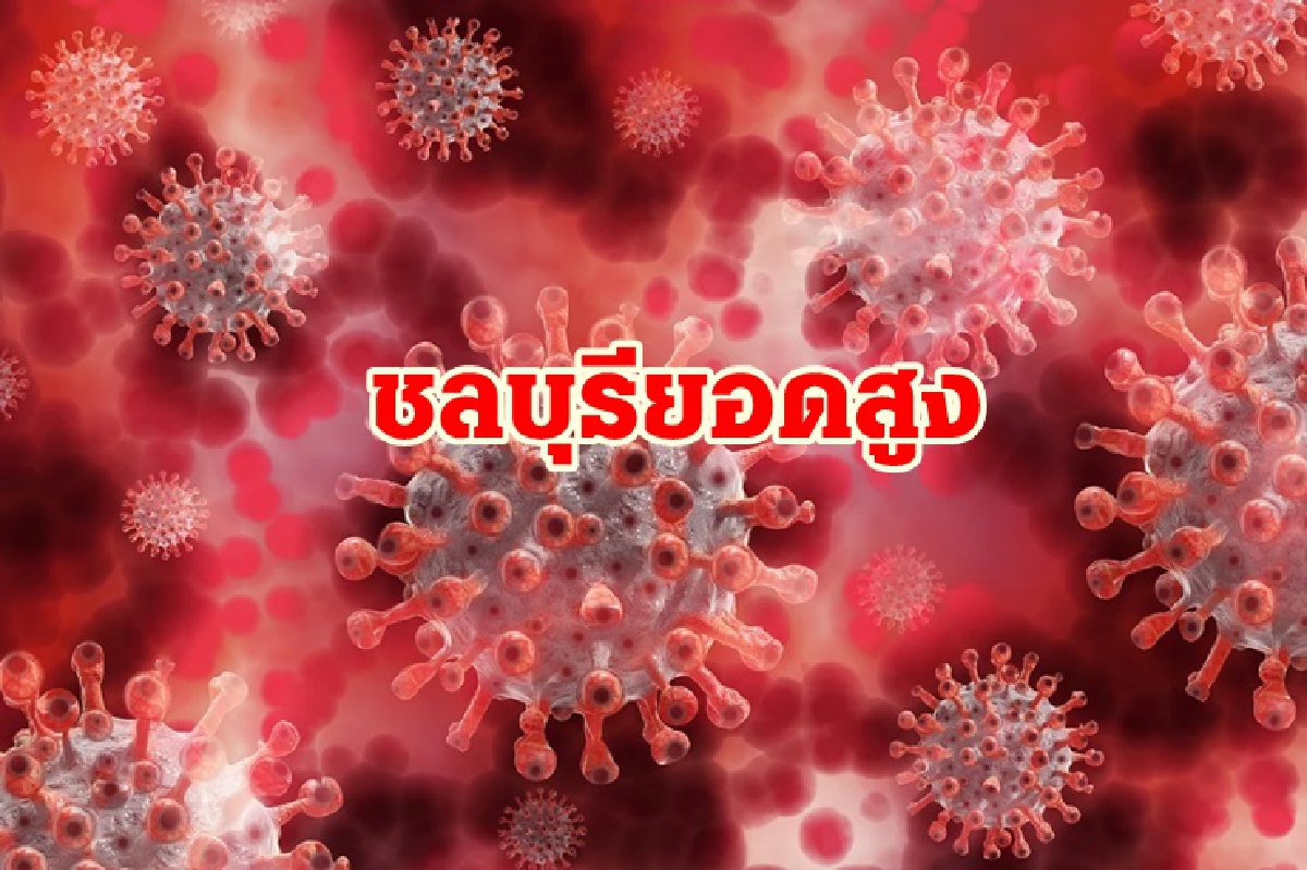 คลัสเตอร์ยังเยอะ!"ชลบุรี"เจอติดโควิดอีก 434 ราย ตาย 3 คลัสเตอร์ยังเยอะ!"ชลบุรี"เจอติดโควิดอีก 434 ราย ตาย 3