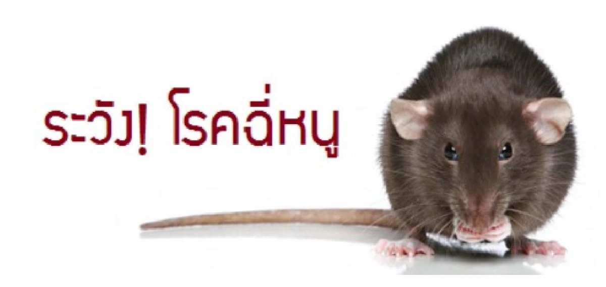 5 โรคผิวหนังเฝ้าระวังช่วงน้ำท่วม