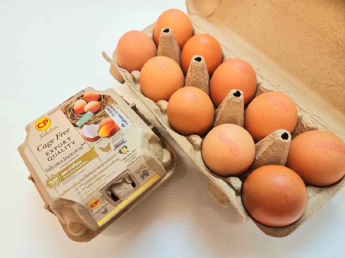 ซีพีเอฟ เพิ่มการผลิตไข่ไก่ Cage Free ตอบโจทย์ผู้บริโภคใส่ใจสุขภาพและ เป็นมิตรต่อสิ่งแวดล้อม ซีพีเอฟ เพิ่มการผลิตไข่ไก่ Cage Free ตอบโจทย์ผู้บริโภคใส่ใจสุขภาพและ เป็นมิตรต่อสิ่งแวดล้อม