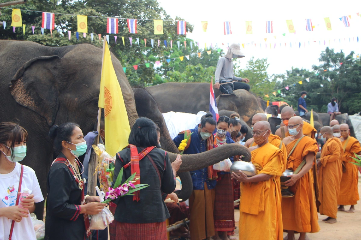 ช้างแสนรู้ร่วมทำบุญตักบาตรเทโวโรหณะวัดป่าดังออกพรรษา