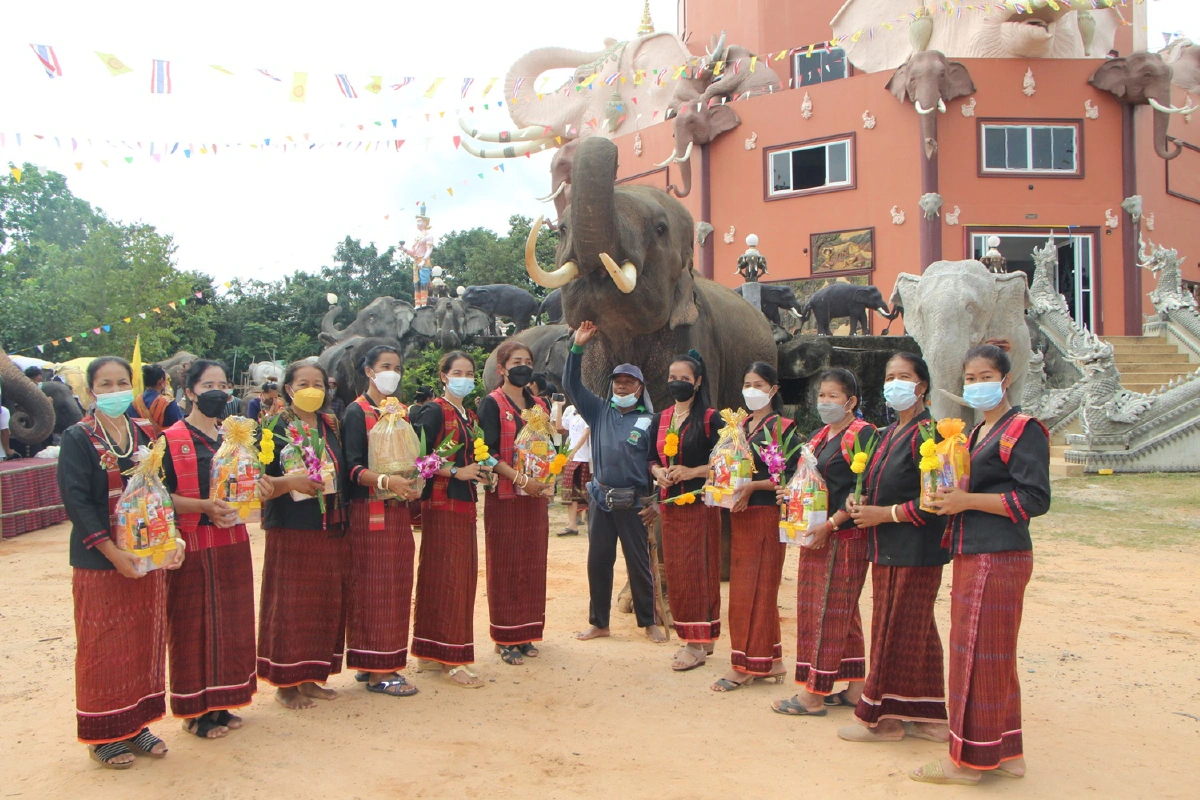 ช้างแสนรู้ร่วมทำบุญตักบาตรเทโวโรหณะวัดป่าดังออกพรรษา