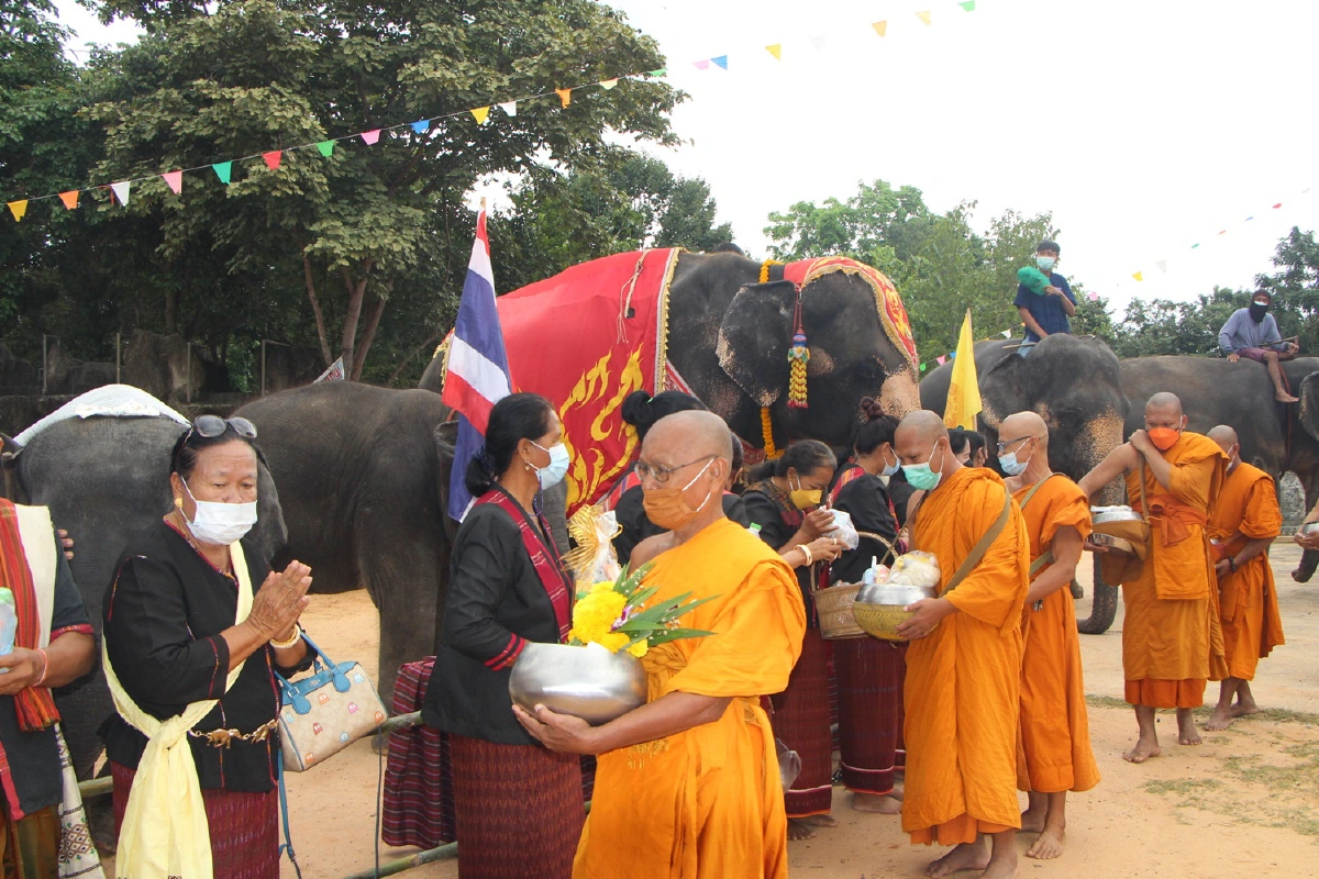 ช้างแสนรู้ร่วมทำบุญตักบาตรเทโวโรหณะวัดป่าดังออกพรรษา