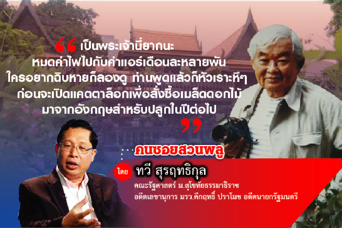 ใต้ถุนบ้านซอยสวนพลู (3) ใต้ถุนบ้านซอยสวนพลู (3)