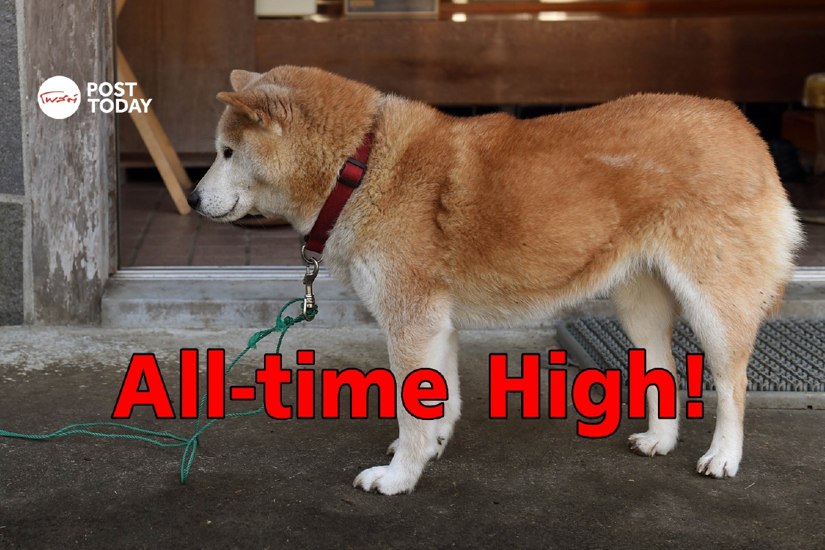 Shiba Inu พุ่งพรวดราคาสูงสุดขั้น All-time High อีกครั้ง Shiba Inu พุ่งพรวดราคาสูงสุดขั้น All-time High อีกครั้ง