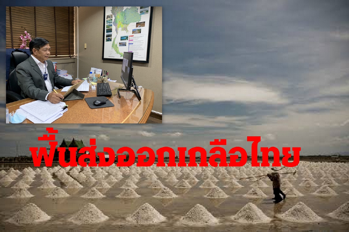"อลงกรณ์"เล็งฟื้นส่งออกเกลือทะเลไทยขายจีน "อลงกรณ์"เล็งฟื้นส่งออกเกลือทะเลไทยขายจีน