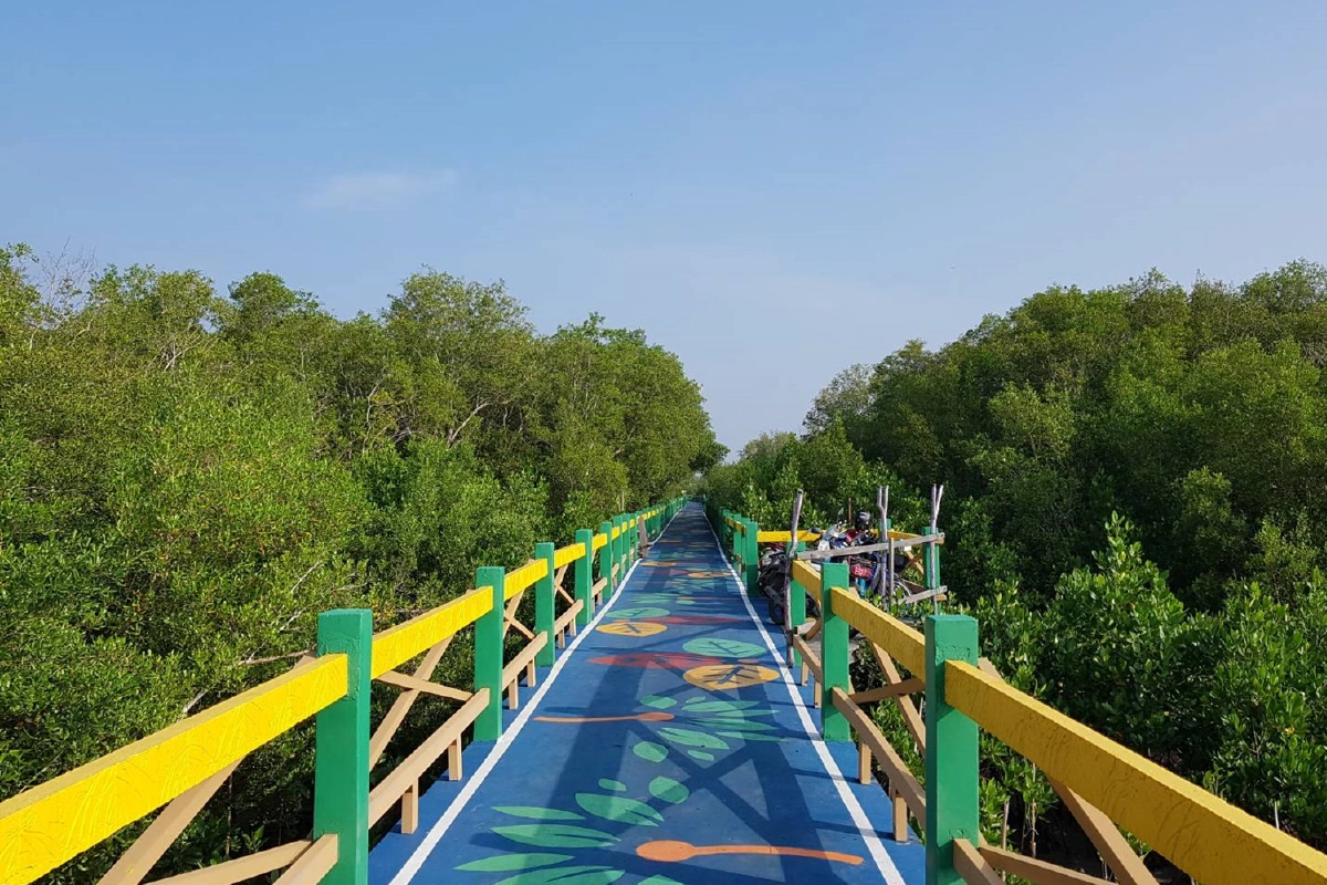 กทม.ปลูกไม้โกงกางเพิ่มพื้นที่ป่าชายเลนทะเลบางขุนเทียน