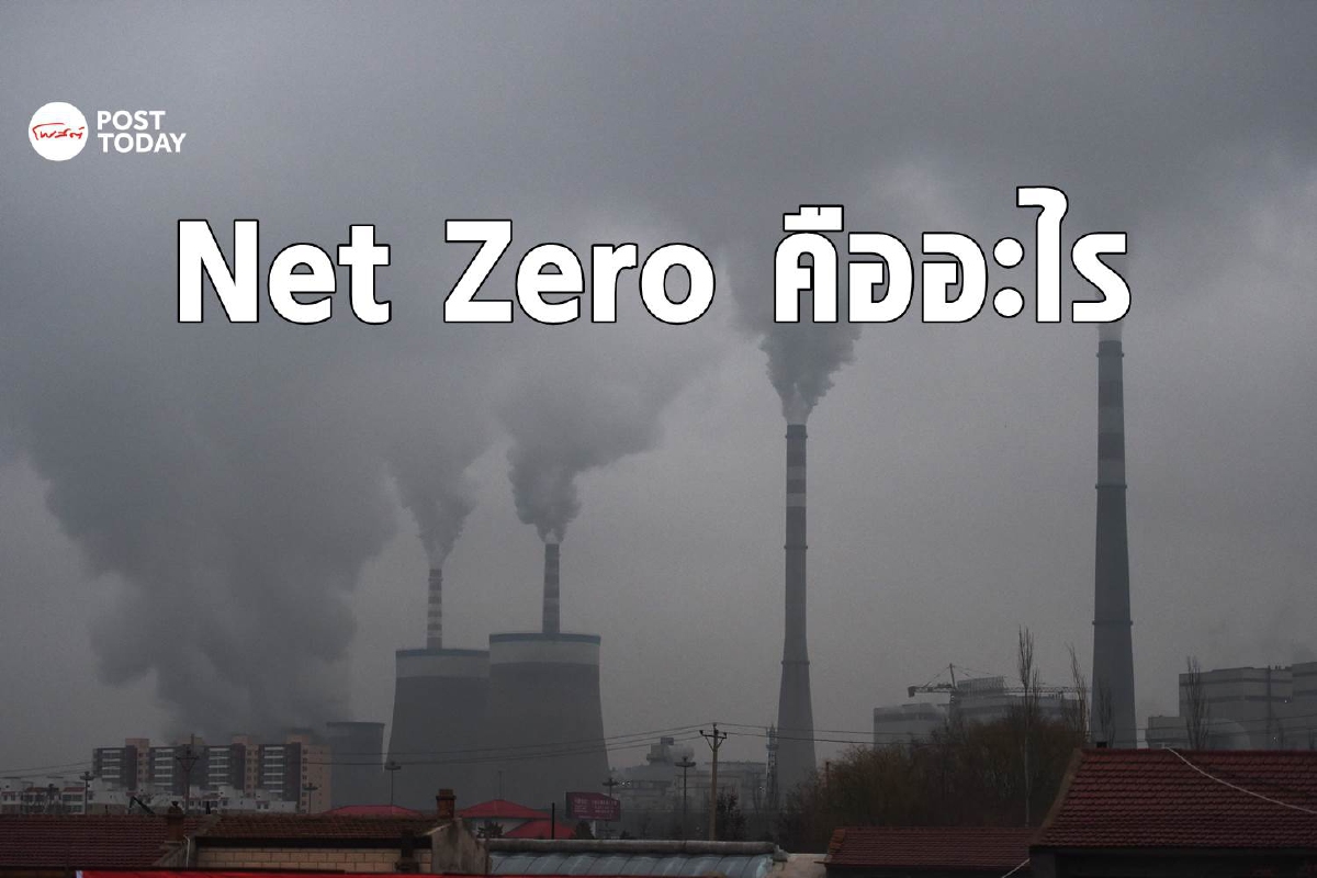 Net Zero คืออะไร ทำไมถึงสำคัญกับโลกและมนุษย์ Net Zero คืออะไร ทำไมถึงสำคัญกับโลกและมนุษย์
