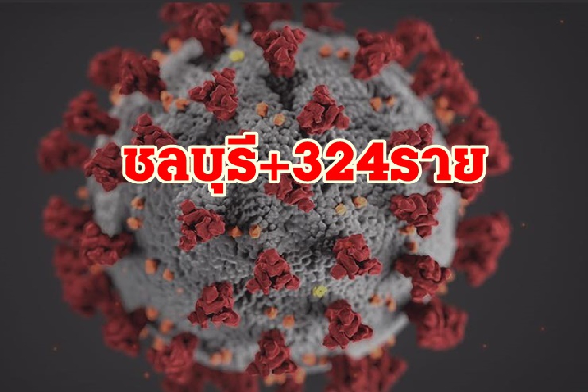 น่าห่วง!โควิดชลบุรี พบติดเชื้อใหม่ 324 ราย คลัสเตอร์ทหารเจออีก 40 ราย น่าห่วง!โควิดชลบุรี พบติดเชื้อใหม่ 324 ราย คลัสเตอร์ทหารเจออีก 40 ราย