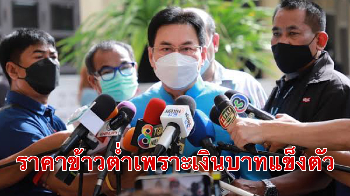'จุรินทร์'เผยราคาข้าวตกเหตุค่าเงินบาทแข็งส่งออกได้น้อยยันมีมาตรการชดเชย 'จุรินทร์'เผยราคาข้าวตกเหตุค่าเงินบาทแข็งส่งออกได้น้อยยันมีมาตรการชดเชย