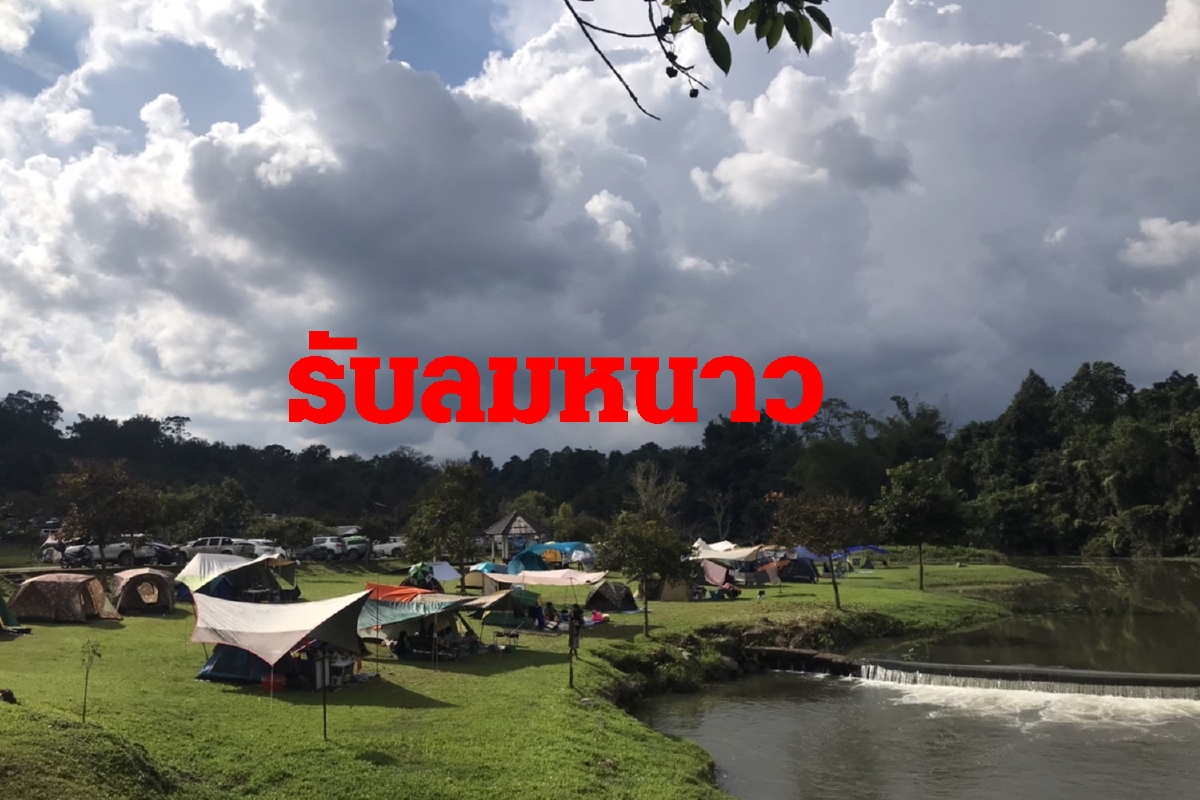 เขาใหญ่คึกแห่กางเต็นท์รับหนาววันหยุด เขาใหญ่คึกแห่กางเต็นท์รับหนาววันหยุด