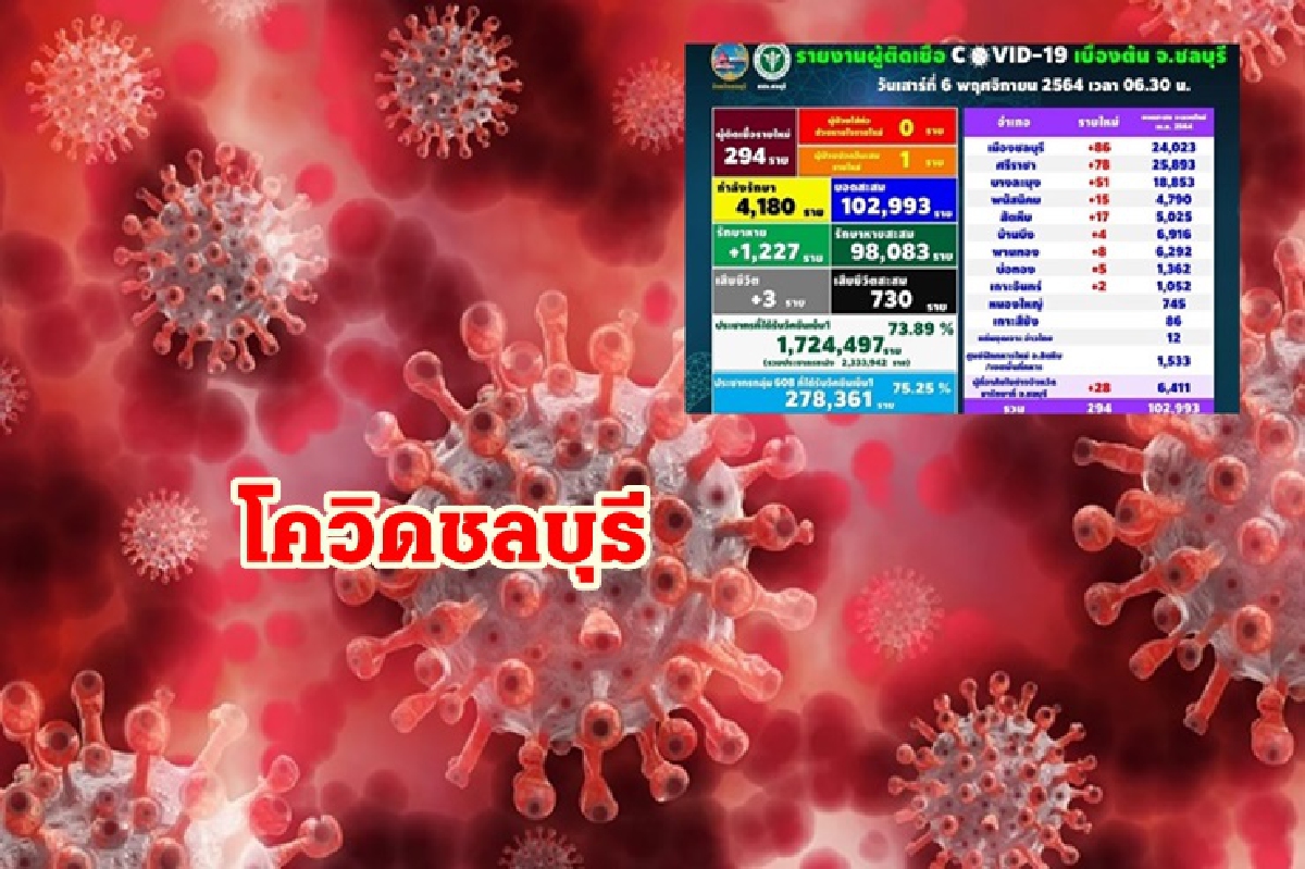 ชลบุรีเผยข้อมูล 3 ผู้เสียชีวิตโควิด พบติดเชื้อใหม่วันนี้ 294 ราย ชลบุรีเผยข้อมูล 3 ผู้เสียชีวิตโควิด พบติดเชื้อใหม่วันนี้ 294 ราย