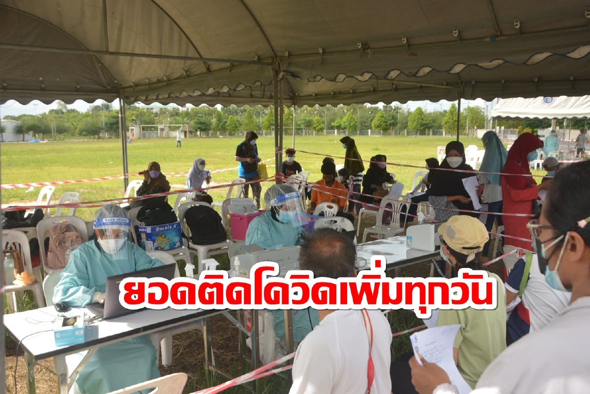 น่าห่วง!ปัตตานีพบติดเชื้อโควิดใหม่เพิ่มอีก 450 รายตาย 3 ศพ น่าห่วง!ปัตตานีพบติดเชื้อโควิดใหม่เพิ่มอีก 450 รายตาย 3 ศพ