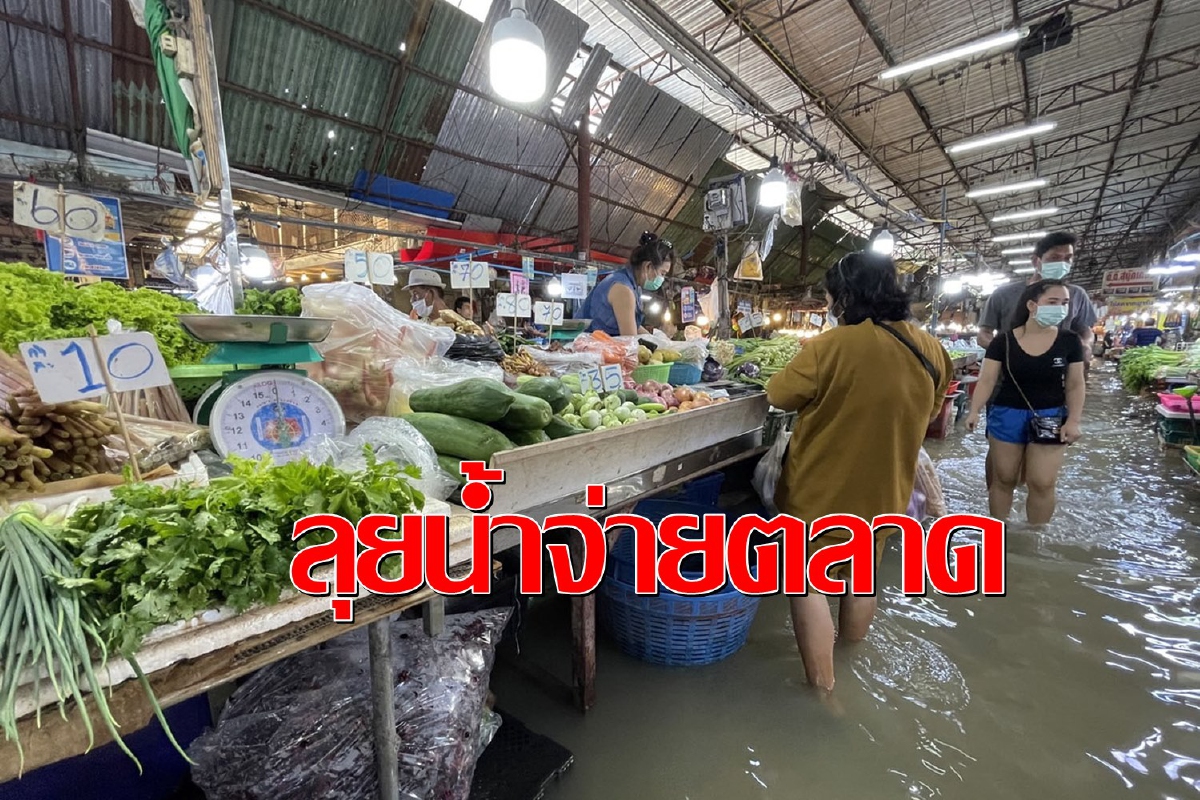 น้ำทะเลหนุนสูง 2 วันติดตลาดสดเมืองปากน้ำจมในพริบตา น้ำทะเลหนุนสูง 2 วันติดตลาดสดเมืองปากน้ำจมในพริบตา