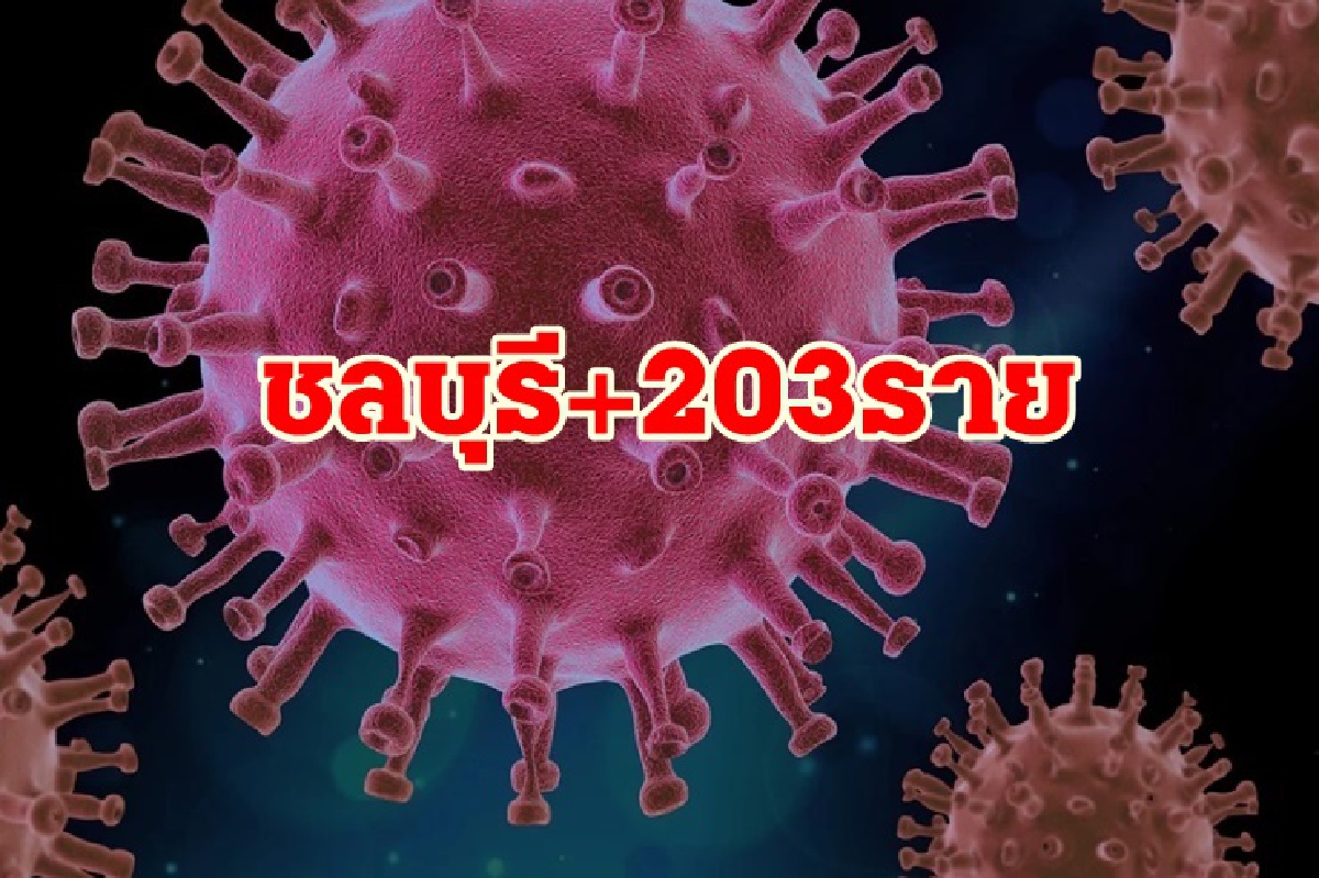 โควิดชลบุรีเจออีก 203 ราย โยงหลายคลัสเตอร์ โควิดชลบุรีเจออีก 203 ราย โยงหลายคลัสเตอร์